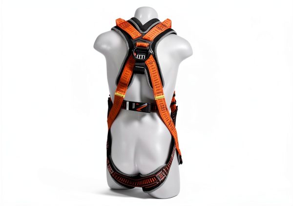 Safety Harness Malta Dynamics Elite Nylon Sternal Back D‑Ring Large-1